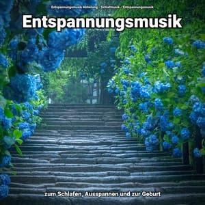 Entspannungsmusik zum Schlafen, Ausspannen und zur Geburt - Entspannungsmusik
