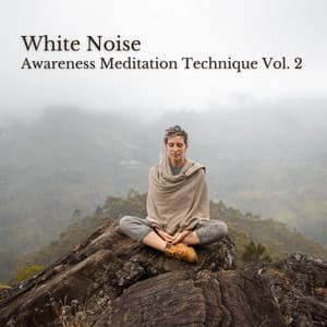 White Noise: Awareness Meditation Technique Vol. 2 - Study Power