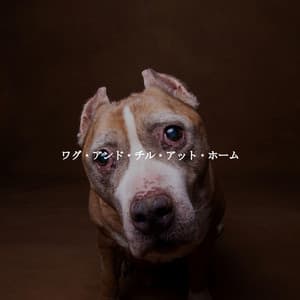 ワグ・アンド・チル・アット・ホーム - Happy Playlisted Music