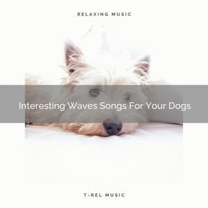 Interesting Waves Songs For Your Dogs - Pets Relax
