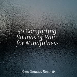 50 Comforting Sounds of Rain for Mindfulness - Relajación
