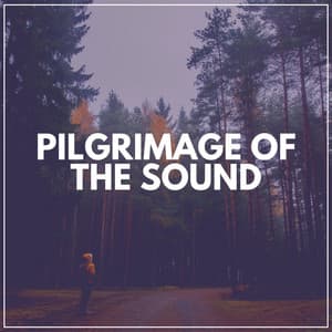 Pilgrimage of the Sound - Calm Music Zone