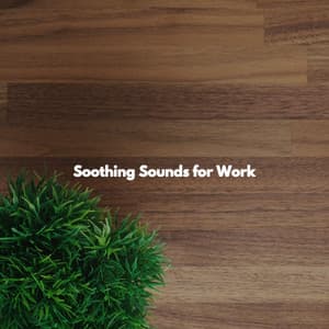 Soothing Sounds for Work - Reading Background Music Playlist