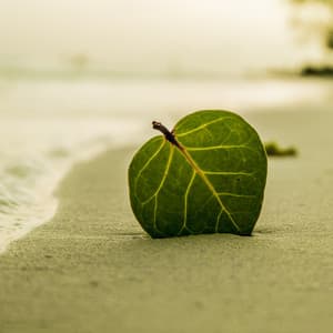 365 Healing: Calming Breath - Ocean Sounds