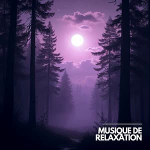 Quand le Vent Chante dans les Arbres Anciens - Musique Calme et Relaxation