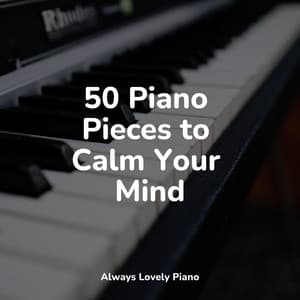 50 Calming Sounds for Focus & Relaxation - Relaxing Piano Jazz Music Ensemble