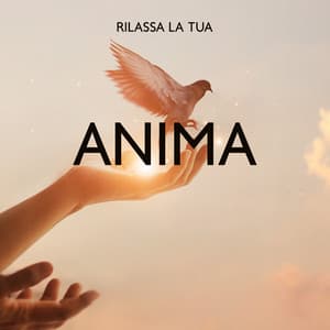 Rilassa la tua anima: Musica spirituale per momenti di relax e pensiero positivo - Musica Relax Academia