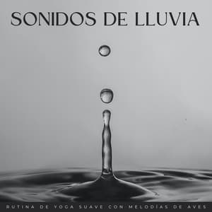 Sonidos De Lluvia: Rutina De Yoga Suave Con Melodías De Aves - Lluvia Soundzzz Club