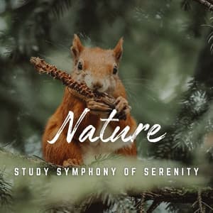 Study in Serenity: Natural Soundscapes - Study With Us