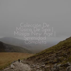 Colección De Música De Spa | Música New Age | Serenidad Completa - Musica romantica instrumental