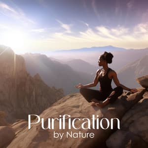 Purification by Nature: Sounds for Meditation In Silence, Peace And Without Distractions - Nature Meditation Academy