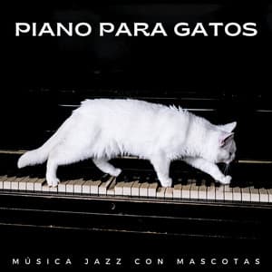 Piano Para Gatos: Música Jazz Con Mascotas - Gato de piano