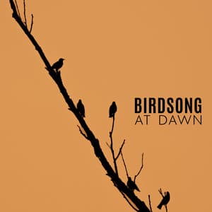 Birdsong at Dawn: Sleepy Instrumental Music with Nature Soundscapes for Relaxation - Bird Sounds