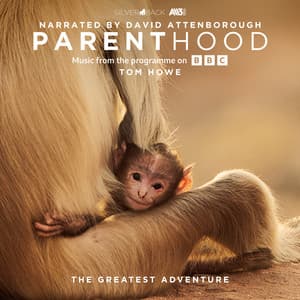 Parenthood: The Greatest Adventure - Tom Howe