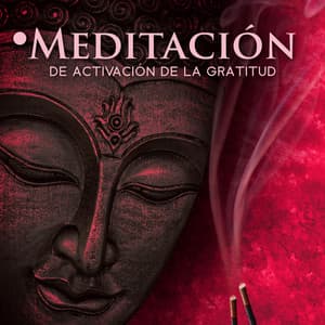 Meditación de Activación de la Gratitud - Hz Meditación