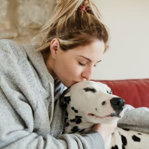 Calming Binaural Bonding: Music for Happy Pets - Ali Noise