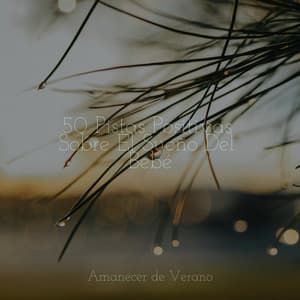 50 Pistas Positivas Sobre El Sueño Del Bebé - Musica Relajante Specialistas & Musica Relajante