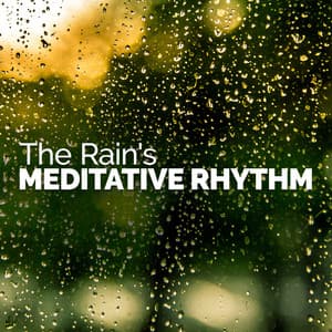 The Rain's Meditative Rhythm - Rain Meditation