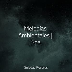 Melodías Ambientales | Spa - Mantra para Dormir