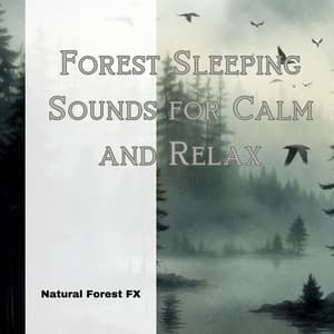 Forest Sleeping Sounds for Calm and Relax - Natural Forest FX