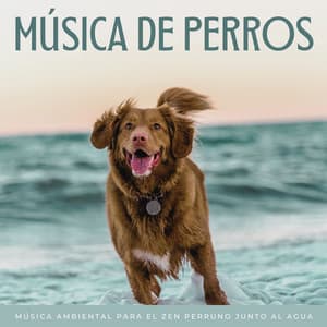 Música De Perros: Música Ambiental Para El Zen Perruno Junto Al Agua - Sonido Submarino