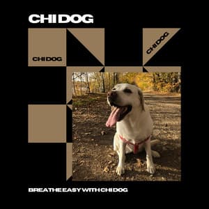 Breathe Easy with Chi Dog - Your Dog’s New Peace Partner - Chi Dog