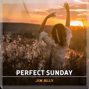 Perfect Sunday - Jim Ally