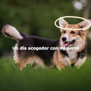 Un día acogedor con mi perro - Romantic Dinner Table Music