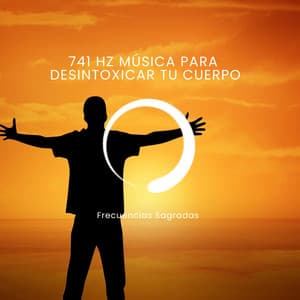 741 Hz Música para desintoxicar tu cuerpo - Frecuencias Sagradas