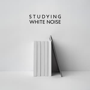 Studying WHITE NOISE - Improve Concentration, Focus on Homework, ADHD/ADD Relief, Calm Your Mind - Relaxing Sounds And Noises