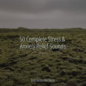 50 Complete Stress & Anxiety Relief Sounds - Study Music & Sounds