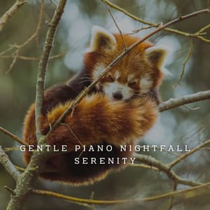 Nocturnal Piano Reverie: Serene Sounds for Restful Nights - Piano Jazz Late Night