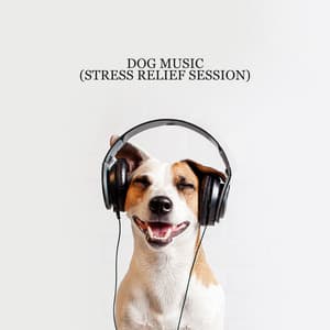 Dog Music : 1 Hours of Relaxing Music to Calm Your Dog - Pet Music Doctor