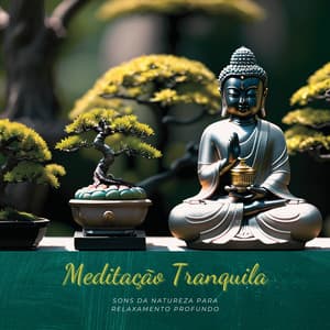 Meditação Tranquila: Sons da Natureza para Relaxamento Profundo - Chakra Música Cura