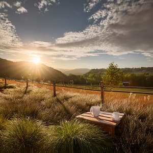 Music For Tranquil Mornings And Soft Beginnings - Relaxing Ambient Music Therapy