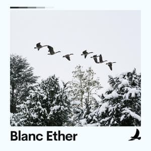 Blanc Ether - Loopable White Noise
