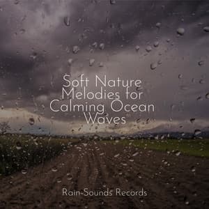 Soft Nature Melodies for Calming Ocean Waves - Ocean Sounds
