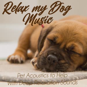 Relax My Dog Music: Pet Acoustics to Help With Deep Relaxation Sounds - Relax My Dog Music