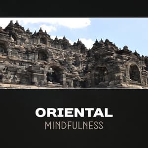 Oriental Mindfulness – Zen Music for Stress Relief, Traditional Asian Music, Calm Your Mind, Peaceful New Age, Stress Reduction, Japanese Music for Meditation & Yoga - Zen Mental Relax Sanctuary