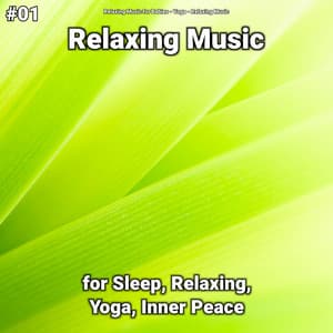 #01 Relaxing Music for Sleep, Relaxing, Yoga, Inner Peace - Relaxing music