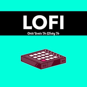 LoFi Chill Beats To Study To - 90's Rap Beats