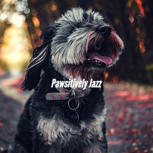 Pawsitively Jazz - Dogs at Home