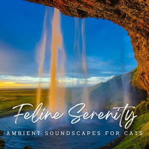 Oceanic Feline Serenity: Ambient Soundscapes for Cats - Sundays By The Ocean