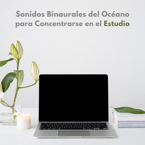 Sonidos Binaurales Del Océano Para Concentrarse En El Estudio - Realidad Binaural