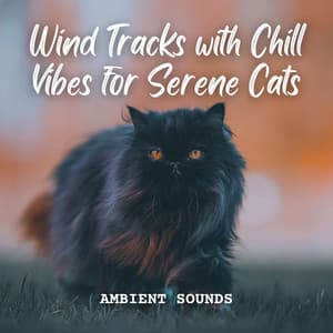 Ambient Sounds: Wind Tracks with Chill Vibes for Serene Cats - Nature Sounds Collabo