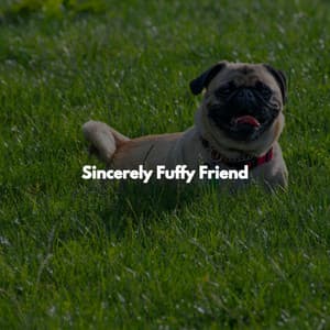 Sincerely Fuffy Friend - Chilled Out Lounge Music