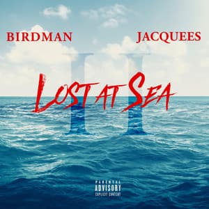 Lost At Sea 2 - Birdman