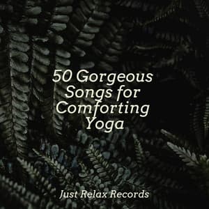 50 Gorgeous Songs for Comforting Yoga - Rest & Relax Nature Sounds Artists