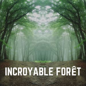 Incroyable Forêt - Nature Sounds - Sons de la nature