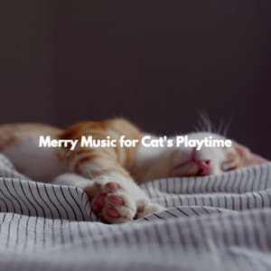Merry Music for Cat's Playtime - Música Suave para Cafés